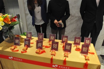 倪妮 独特魅力下的商业价值解析与文化经纪的专业支撑